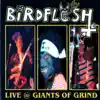 Birdflesh - Live @ Giants of Grind